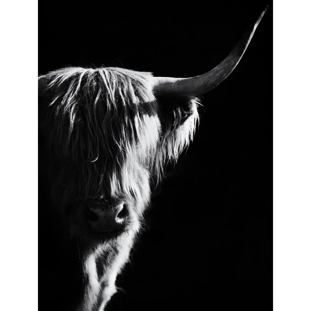Черно-белая Нагорная корова на холсте, художественная Скандинавская живопись, Постер и печать, скандинавские настенные картины для гостиной - Цвет: 1