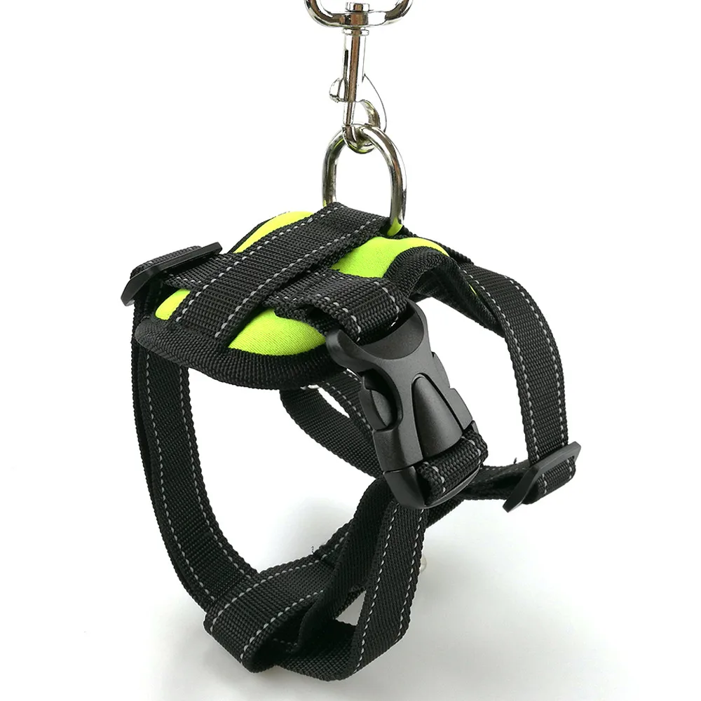 PY0023 green