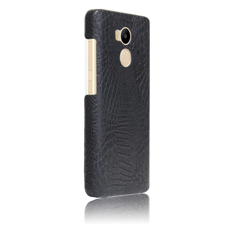 case (4)
