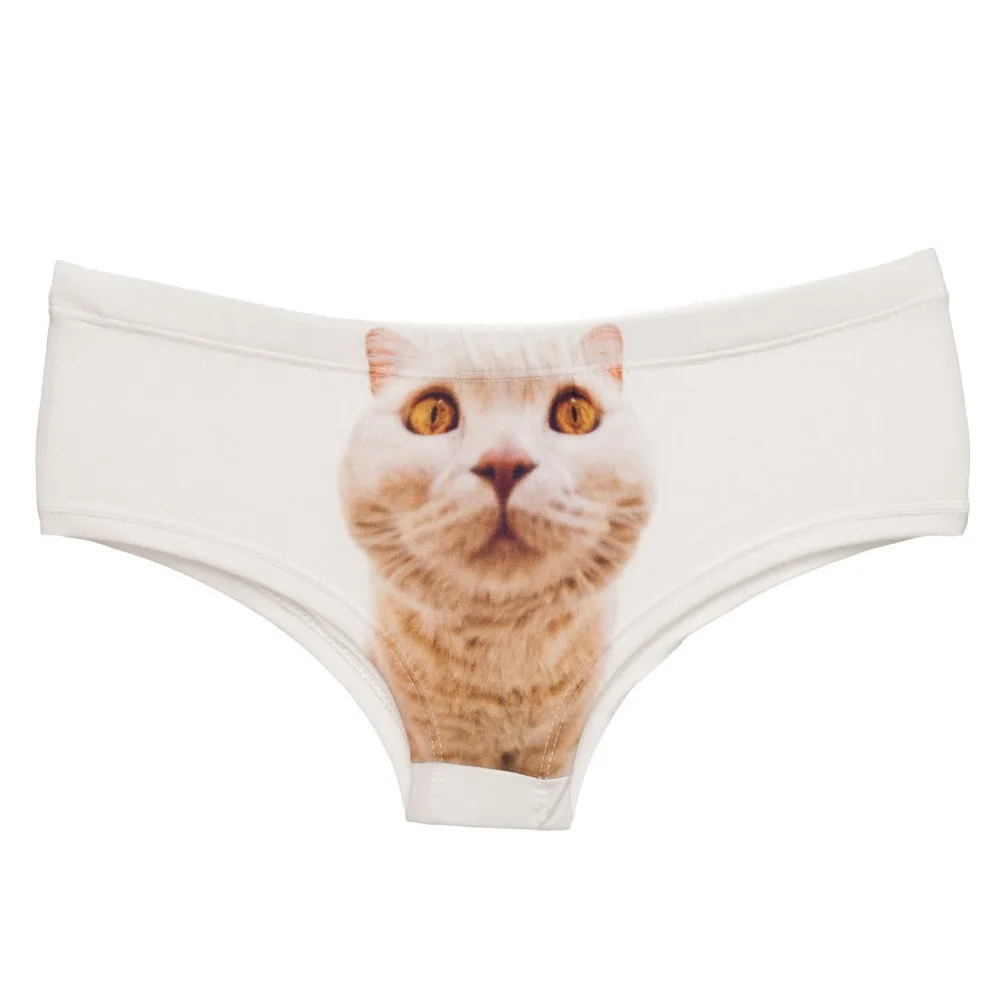 37051 BIG HEAD CAT (3)