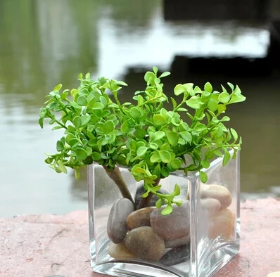 Wedding Home Table Office Furniture Decor Artificial Lotus Fake Wedding Home Table Office Furniture Decor Artificial Lotus Fake Foliage Gr Plant Tree Mini Ma1905