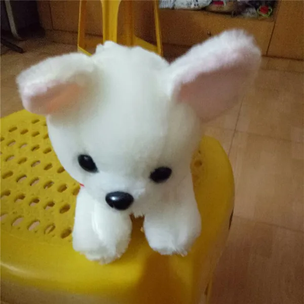 Cute Chihuahua Dog Plush Toys 2 colors - Buyer's Show 4