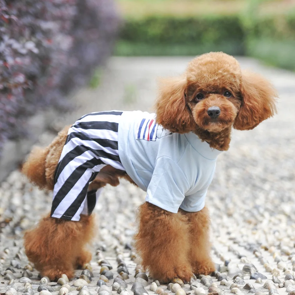 High Quality Pet Dog Clothes Cotton Casual Jumpsuit Coat Spring Summer