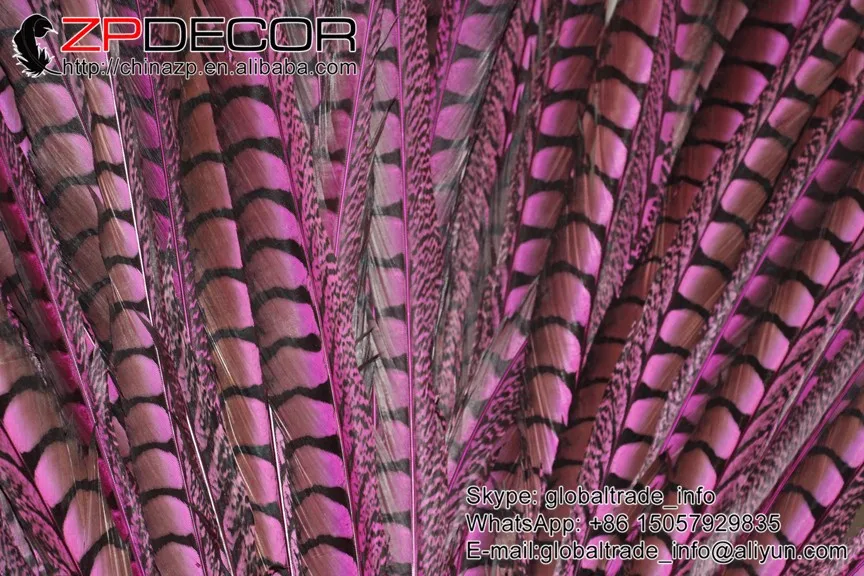 hot pink 70-80cm lady amherst pheasant feathers (33)