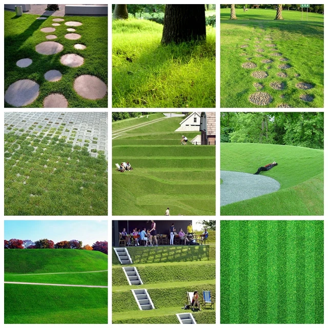 green grass soccer field depositphotos 1000 pcsbag green turf grass golfspecial perennial lawn plantsoccer plant green grass soccer field depositphotos 1000 pcsbag green turf grass golfspecial perennial lawn plantsoccer plant