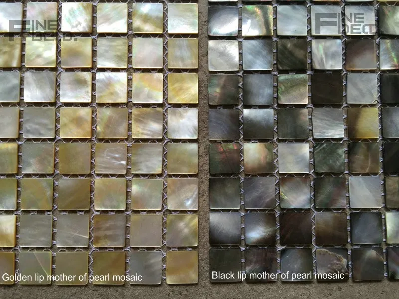 FD8002 golden lip mosaic 6