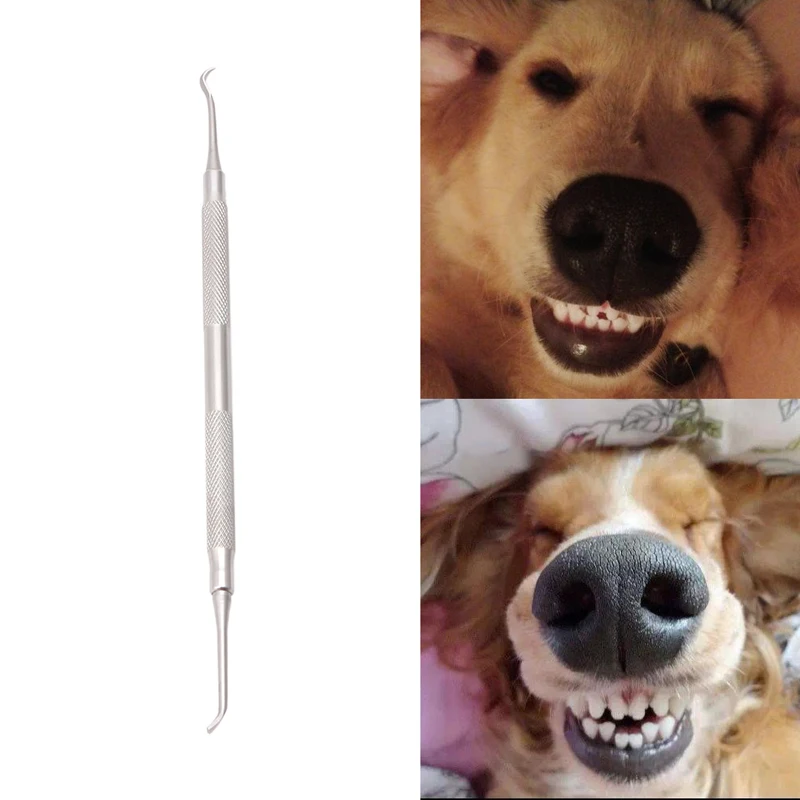 1 pc Dog Tooth Scaler for Pet 7 Inch Double End Remover Scraper Dog