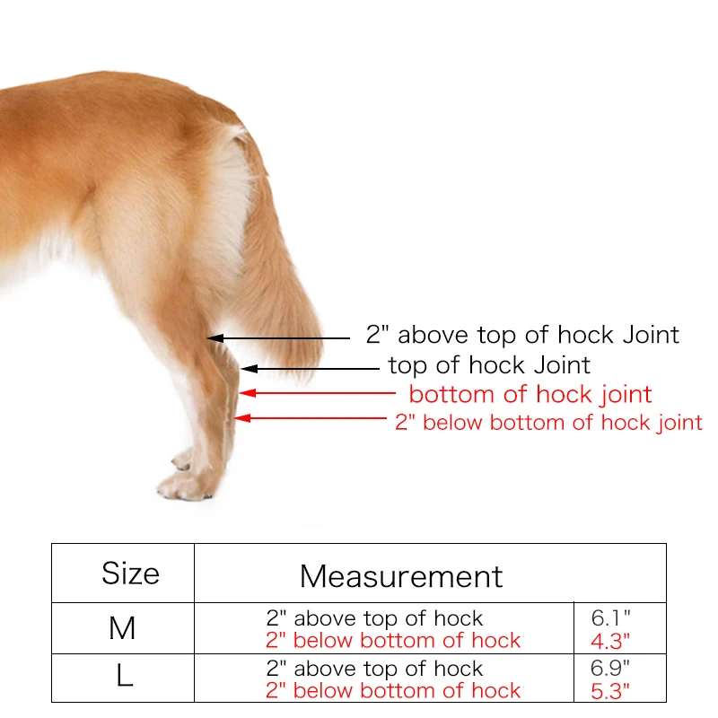 2 шт. наколенники для домашних собак, поддерживающие фиксаторы для задних лап, дышащие, Hock Joint wrap, травма, восстановление ног, 4 размера, защита для собак, поддержка s