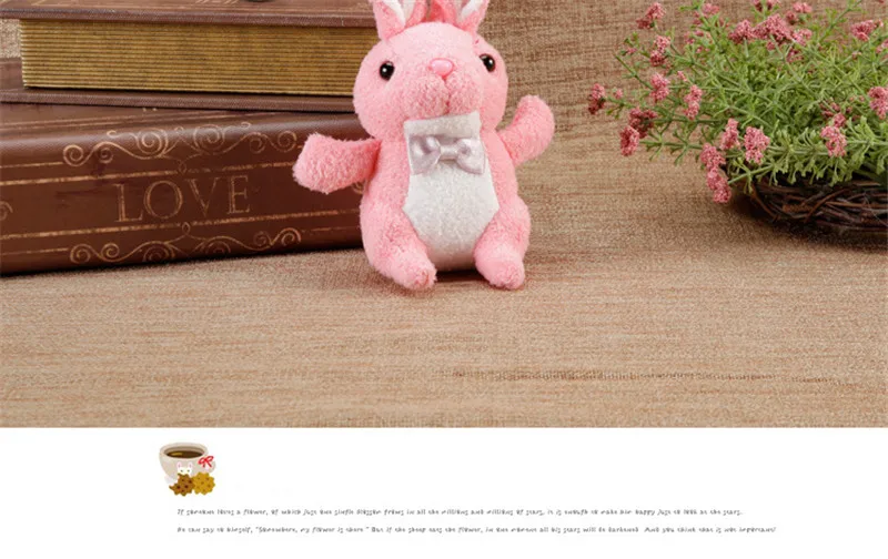 plush toy (16)