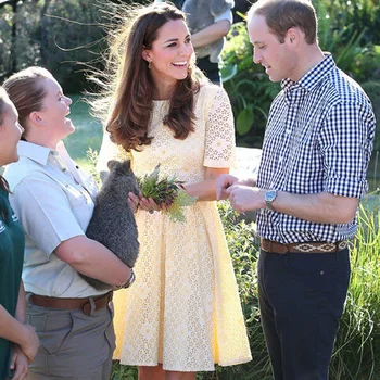 

Kate Middleton Princess Sunflower Lace Dress Fashion O-Neck Short Sleeve Pleated Dresses D4193