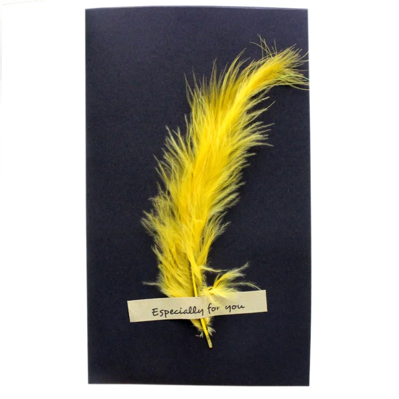 UV0427Y (1)