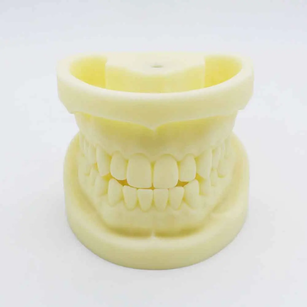 Preparation dental dental cast mold resin dentistry teaching dental