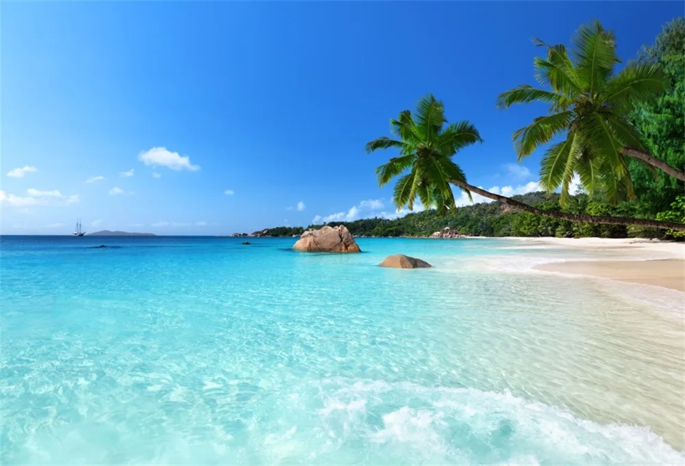 Laeacco Sea Beach Palm Tree Scenic Photographic Backgrounds Customized Photography Backdrops For Photo Studio Laeacco Sea Beach Palm Tree Scenic Photographic Backgrounds Customized Photography Backdrops For Photo Studio
