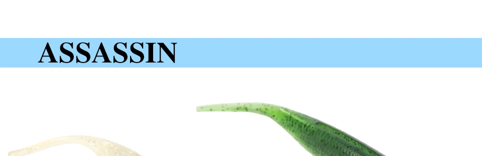 -Y--_01