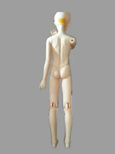 3 bjd body single back