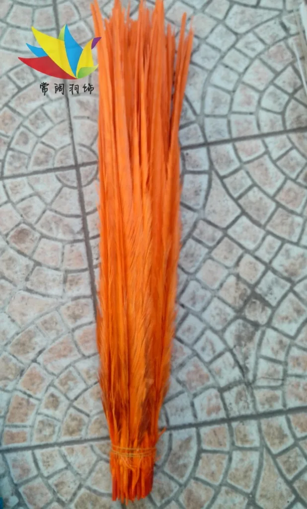 

Wholesale 100pcs/lots pretty Dyed 55-60cm/22-24''' copper chicken feather orange pheasant Tail feathers