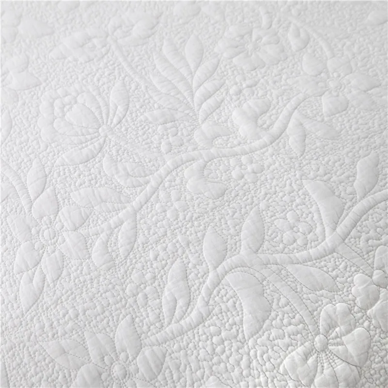 IMG_1097野马摄影