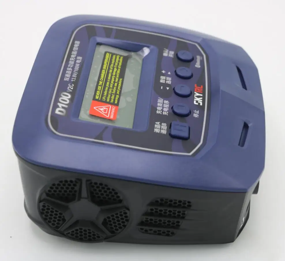 SKYRC D100  (5)