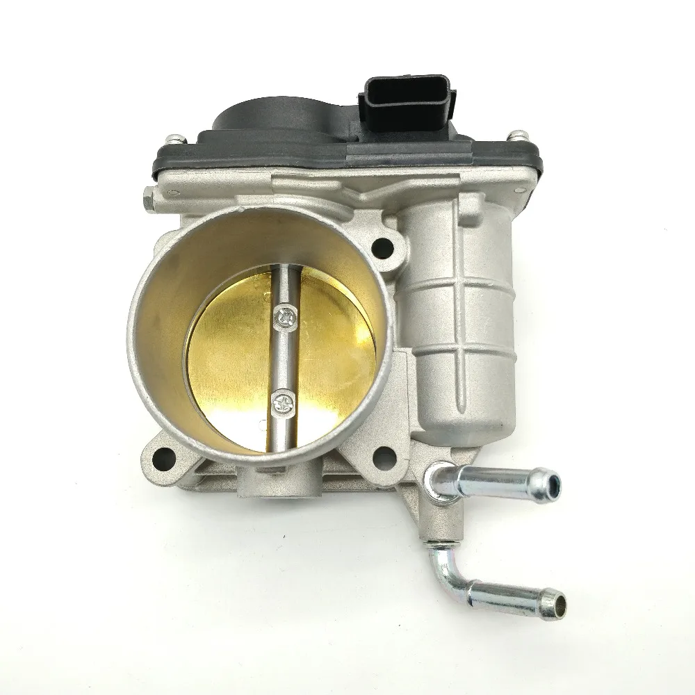 Automotive Air Intake & Fuel Delivery Electronic Throttle Body for