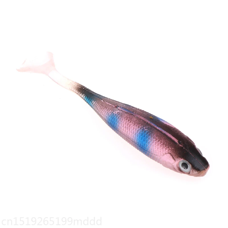 2SS100126-5