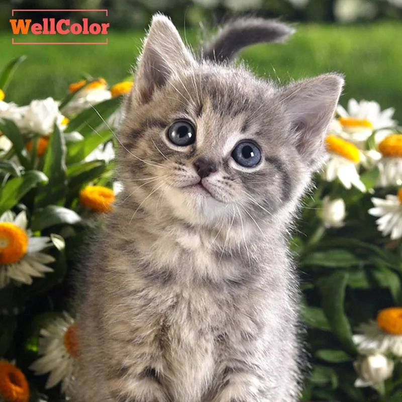 

DIY 5D Diamond Painting Tabby Kitten and Daisy Flowers Mosaic Pattern Rhinestones Crystal Handmade Diamond Embroidery Cat