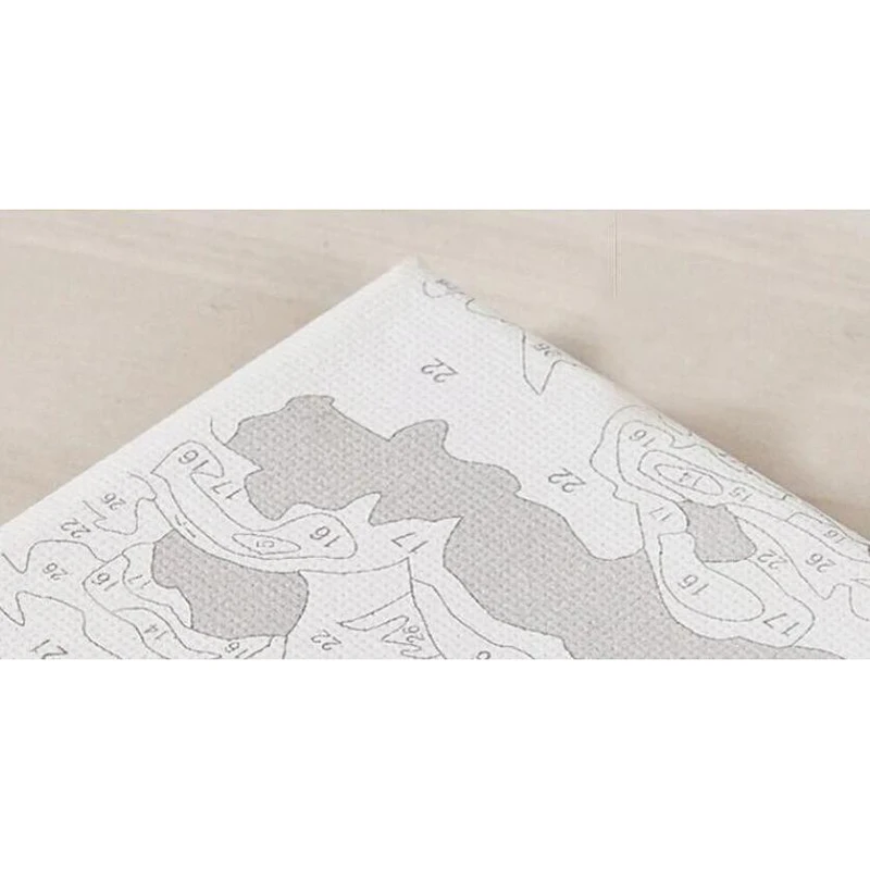 Califromnantes Comprar 3 Unids Set Frameless Flamenco Diy Pintura