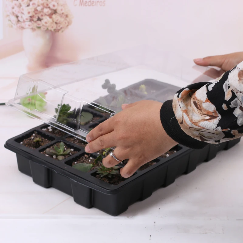 24 Cells Hydroponic Seedling Tray Sprout Plate Plant Seeds Grow Nursery