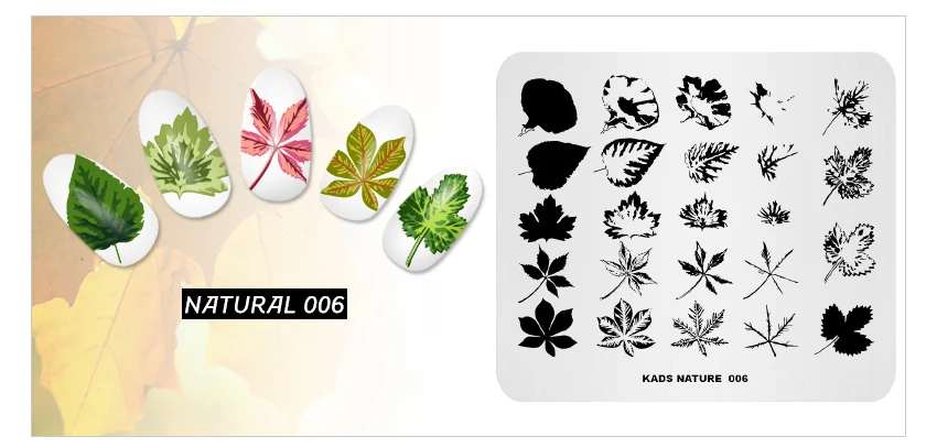 KADS-NATURAL-6_06