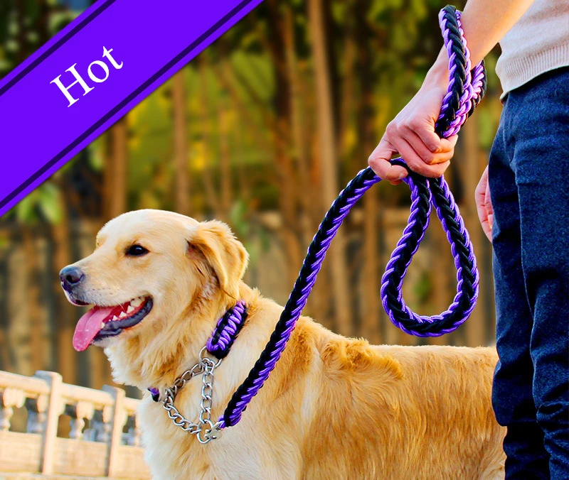 2755961386_832618304