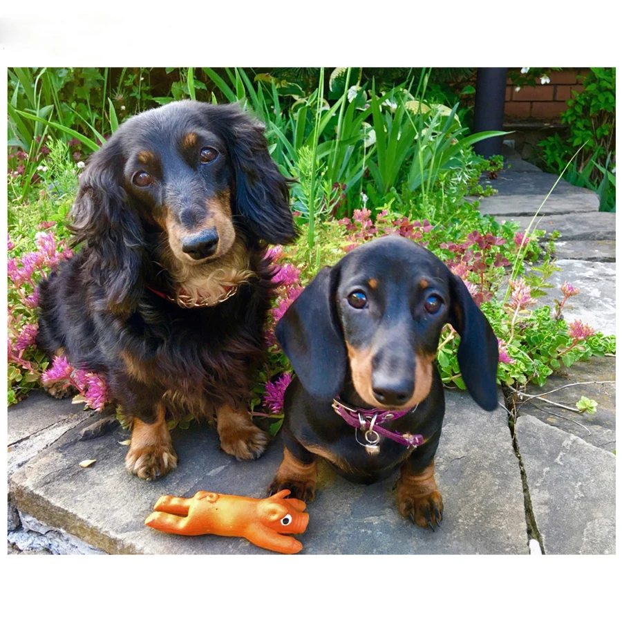 HTB1QA1faU_rK1Rjy0Fcq6zEvVXa0