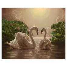 Горячая 16X20 дюймов краска по номеру Набор DIY Цифровая масляная акриловая Картина на холсте домашний декор, два белых лебедя