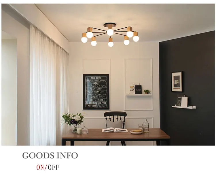 modern simple ceiling lamp (3)
