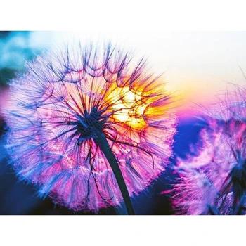 

Needlework 5d Diy Diamond Painting Dandelion Paint With Diamond Full Round Drill Diamond Embroidery Rhinestones Home Decor