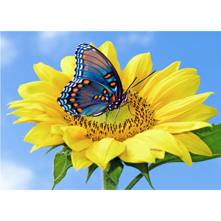 New Embroidery Handicrafts Sunflower Butterfly 5D Diy Diamond Painting Cross Stitch Flower Home Decoration Full Mosaic Picture