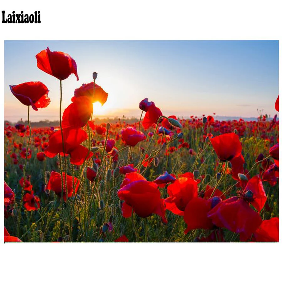 

Diamond Embroidery Red Poppy sunset landscape Needlework 5D DIY Diamond Painting Flower sea Full Square Rhinestone Mosaic Decor