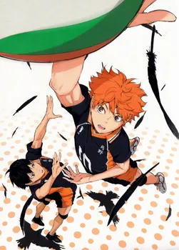 

Haikyu!! Anime Hinata & Kageyama 45*30CM Wall Scroll Poster #39398