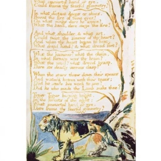 The Tyger  from Songs of Innocence Poster Print by William Blake (18 x 24)