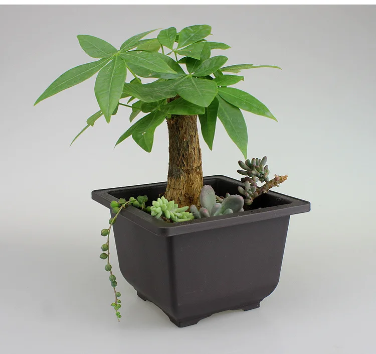 Plastic Succulent Flower Pot Bonsai Nursery Retro Plant Balcony Decorations