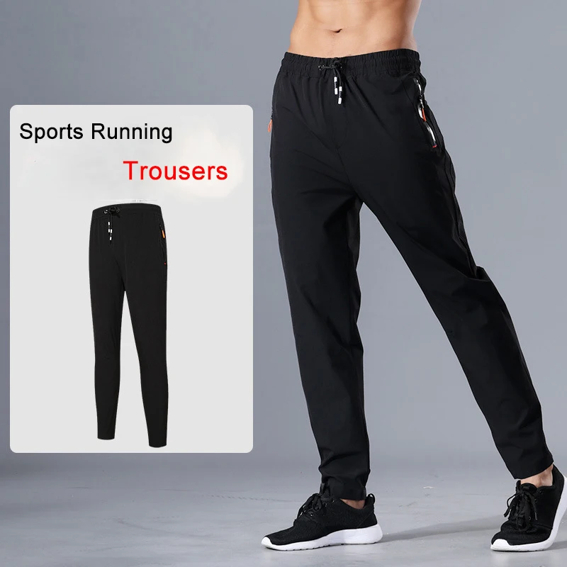 9114449259_1610512281