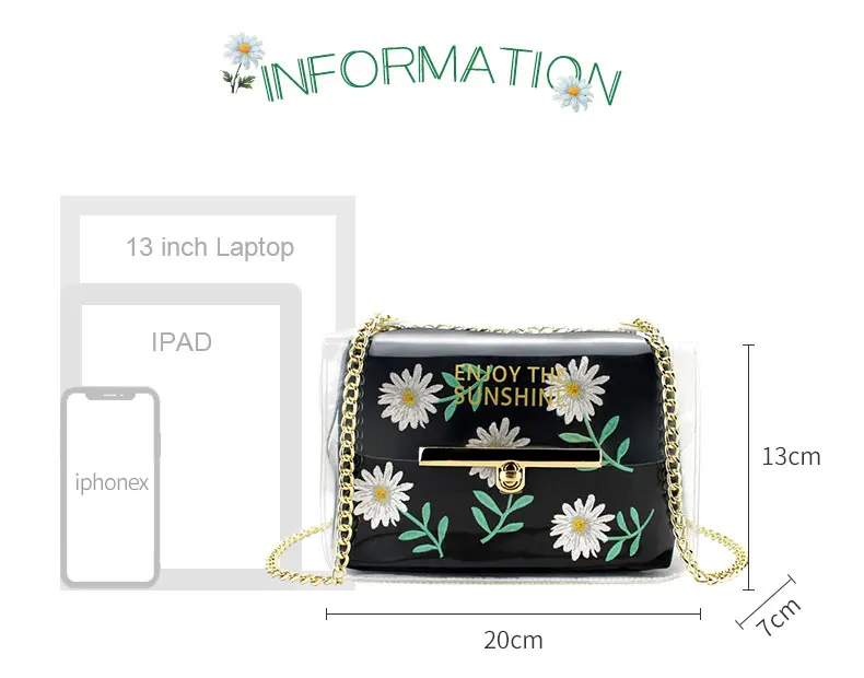 women clear bag (3)