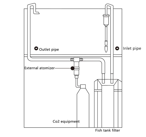 _08