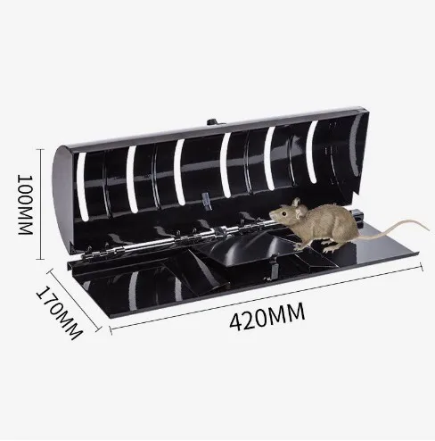 mouse trap (9)
