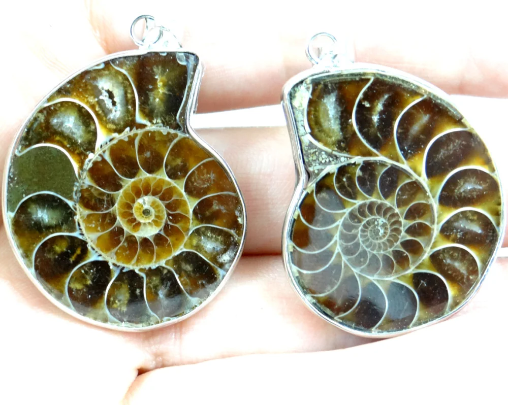 

Natural 1Pcs iridescent Ammonite Fossil Specimen stone pendant Nautilus Pompiplius Ocean Fish Tank Stones Healing