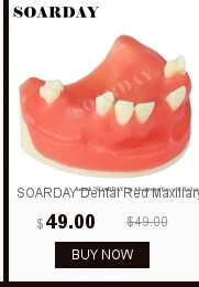 dianxiaobao