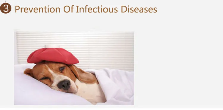 TB2aHh4lxdkpuFjy0FbXXaNnpXa_!!282282642