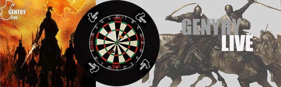 Высокое качество GENTRY LIVE 4 шт dartboard surround EVA Surround для 18 дюймов dartboard