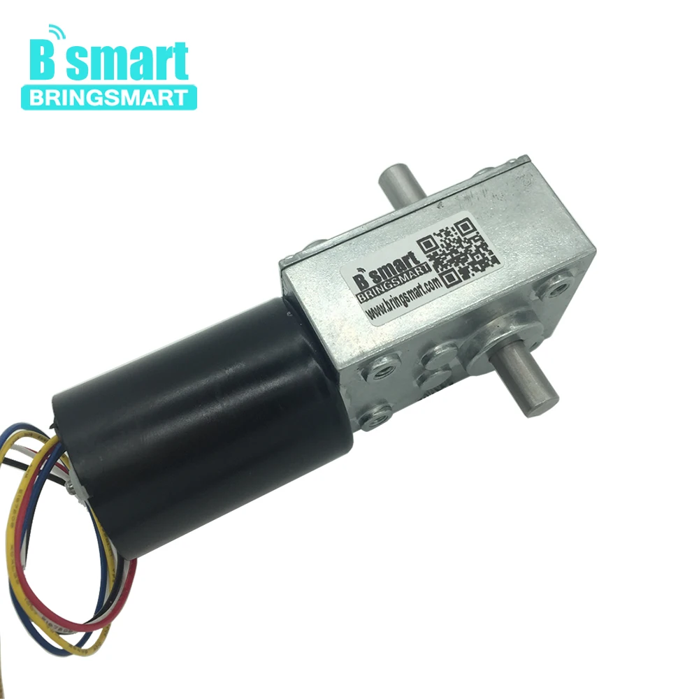 

Bringsmart 5840-3650 Brushless Double Shaft 12V 24V DC Turbo-Worm Reducer Mini Self-locking Brake BLDC Motor Worm Gear Motor