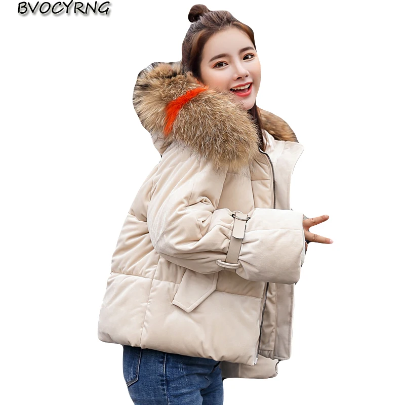 2018 Autumn Winter Women New Gold Velvet Short Cotton