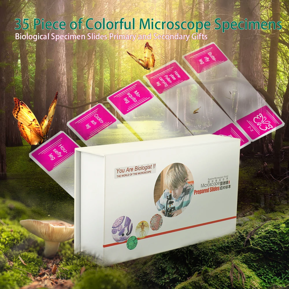

35 Piece of Colorful Microscope Specimens Biological Specimen Slides Observe Magical World Primary and Secondary children Gifts