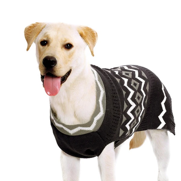 Resultado de imagen para labrador ropa